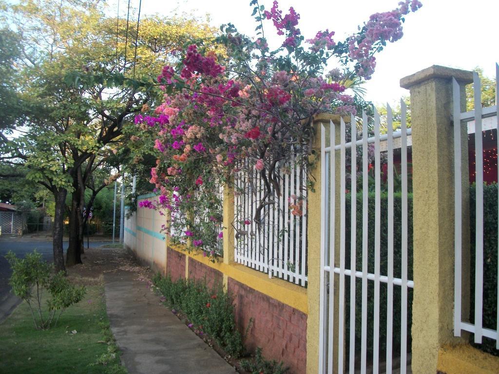 Hostal Casa Los Espinoza Манагуа Екстер'єр фото
