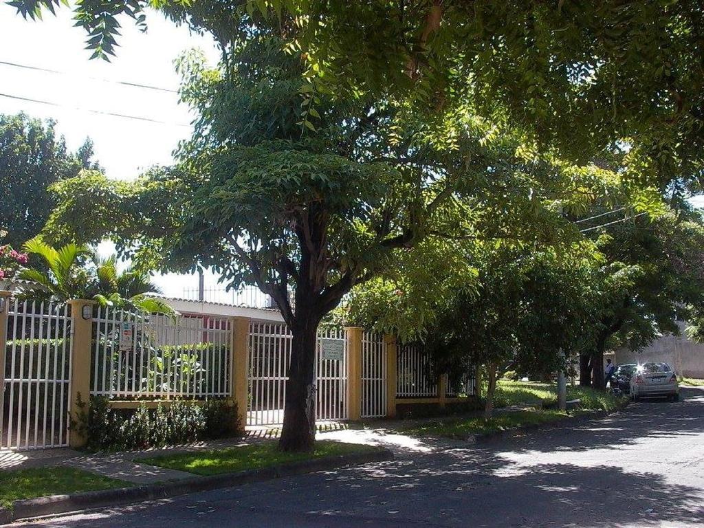 Hostal Casa Los Espinoza Манагуа Екстер'єр фото